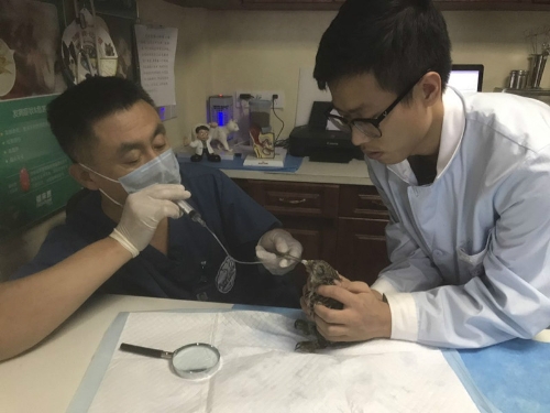 ��ɭ�ֹ�������һֻ��ͷ��m