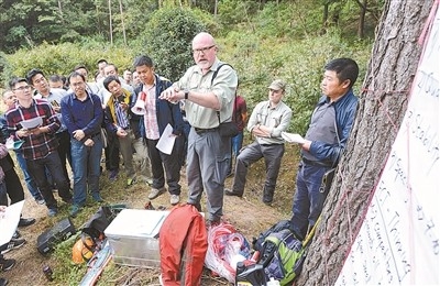 �еº����ӿ��ƽ�����ɭ�ָ�����Ӫ