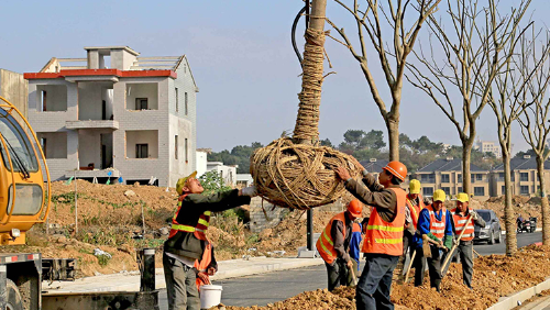 ��������������·�̻�Ʒλ