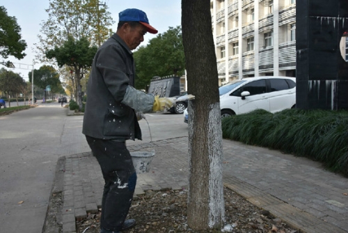 ��Ҧ�����������̻���ľ�ķ�����ů����