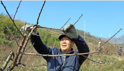 ������ũ������֦æ