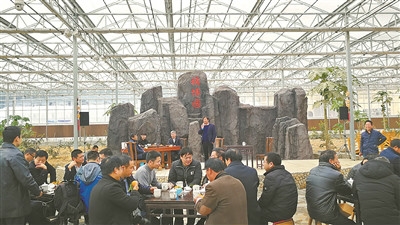 ��ɽ���Ƽ����١��ɡ��¸�����